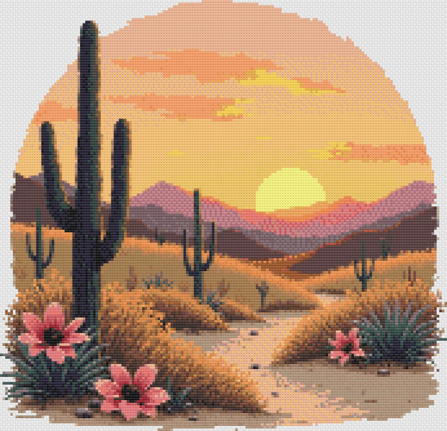 Desert Sunset